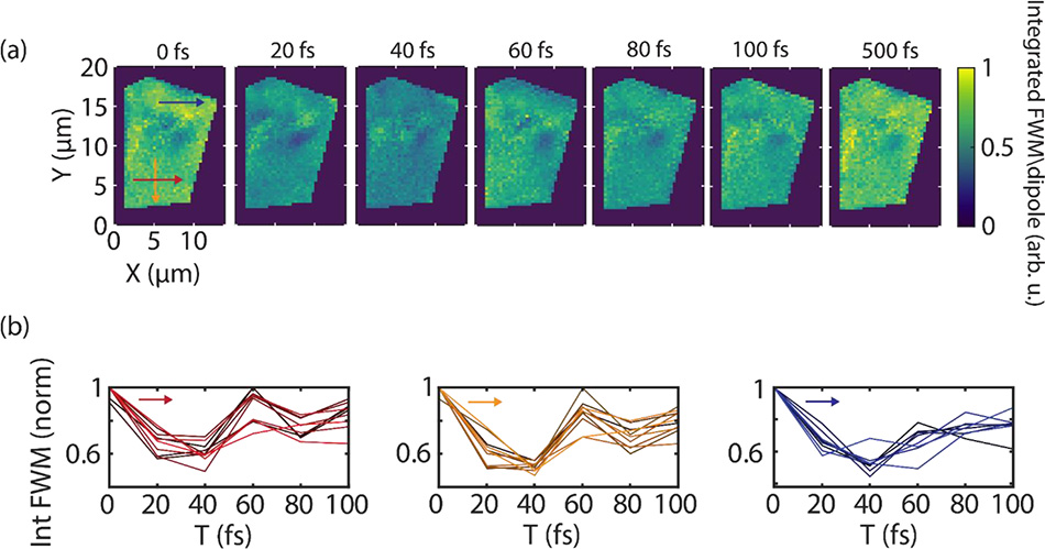 図6